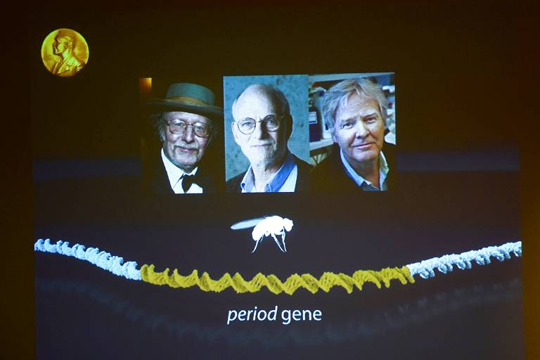 Americanos vencem Nobel de Medicina