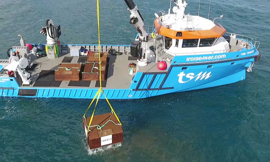 Vinícola está envelhecendo espumante especial no fundo do mar