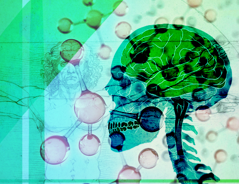 Pesquisas evoluem em importantes descobertas