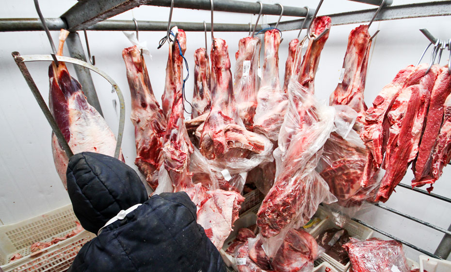 Brasil exportou US$ 1,36 bilhão em produtos agropecuários ao Marrocos no ano passado