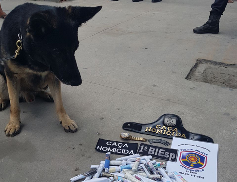 Aumento das tarifas de ônibus de Caruaru