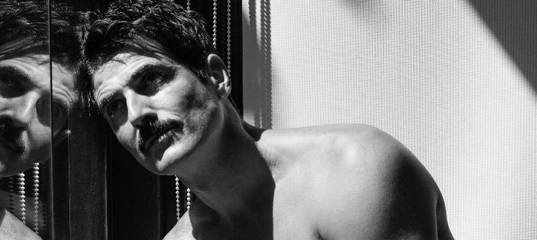 Reynaldo Gianecchini, ator