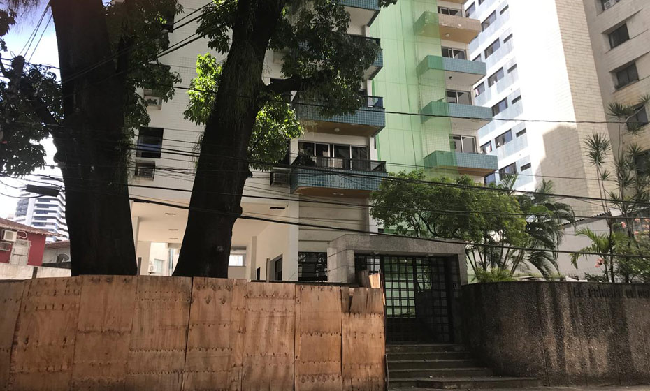 Paineiras ficam dentro do terreno do Edf. Orange