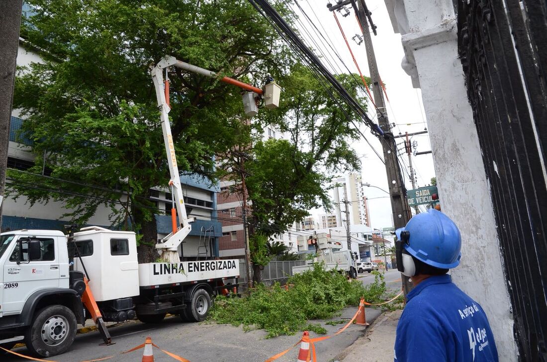 Podas ocorrem entre as ruas Dr. Teixeira Pinto e Edgar D'Amorim