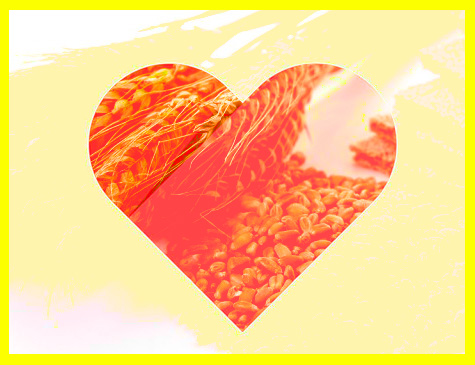 Fibras, alimentos ricos em ômega 3 e gordura boa fazem bem ao coração