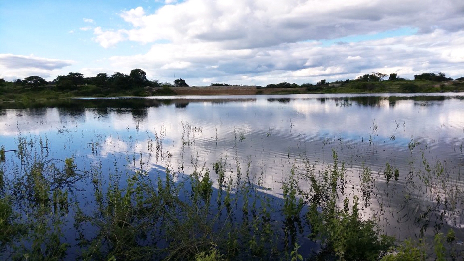 Matheus Cunha Chagas