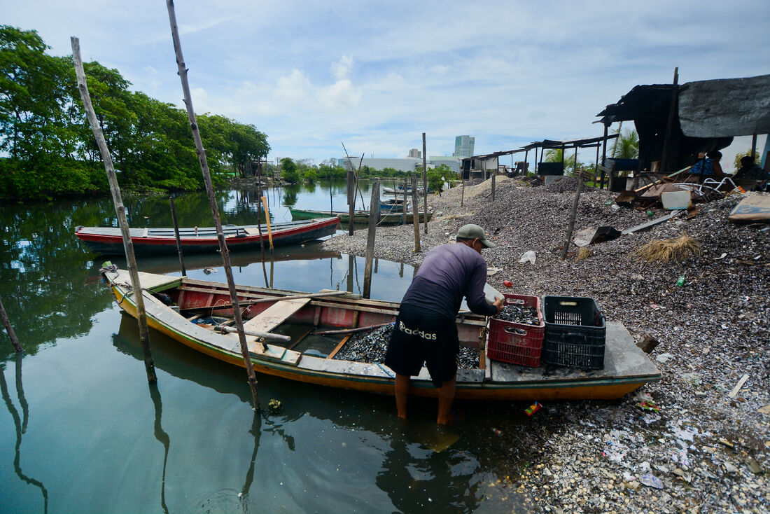 Pesca artesanal e coleta dos moluscos sustentam os cerca  de dois mil moradores  da comunidade da Ilha de Deus