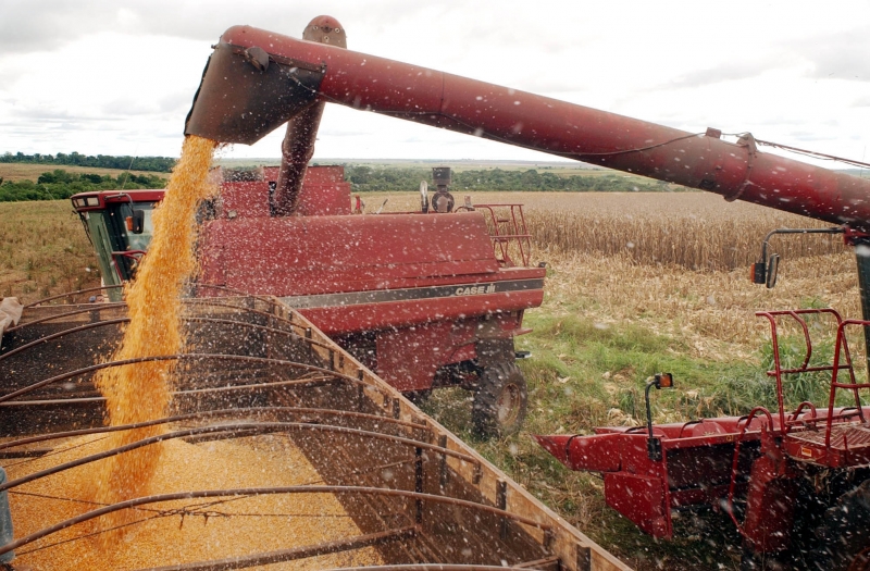 Produção agrícola