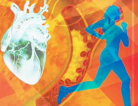 Atividade física regular é antídoto para controle de colesterol