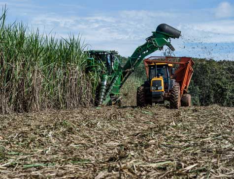 Mastercana Norte-Nordeste 2023: Prêmio destaca mérito do setor  sucroenergético - Folha PE