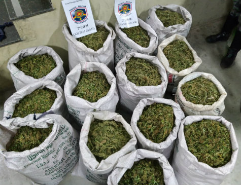 Cineasta Luci Alcântara