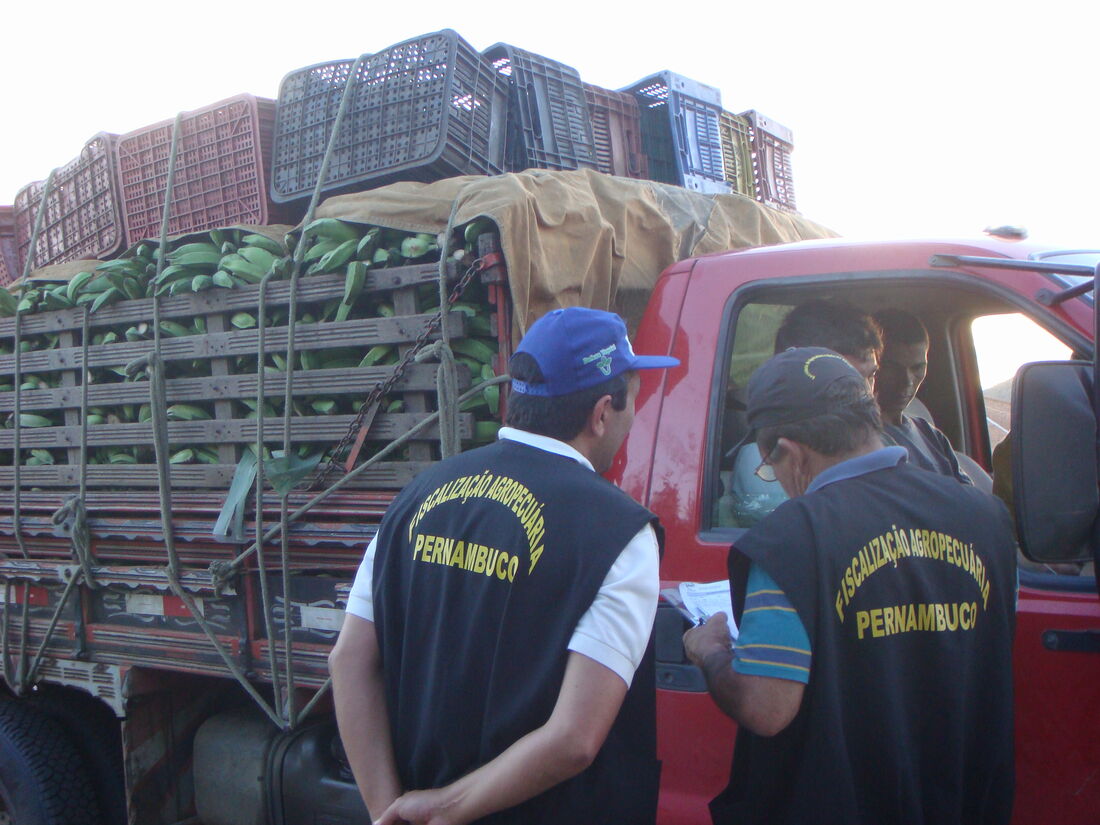 São 90 vagas para assistente de defesa agropecuária e 50 para fiscal estadual agropecuário
