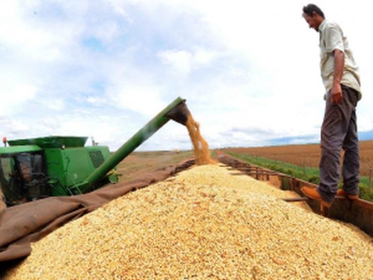 As commodities aumentaram sua participação nas exportações brasileiras em setembro