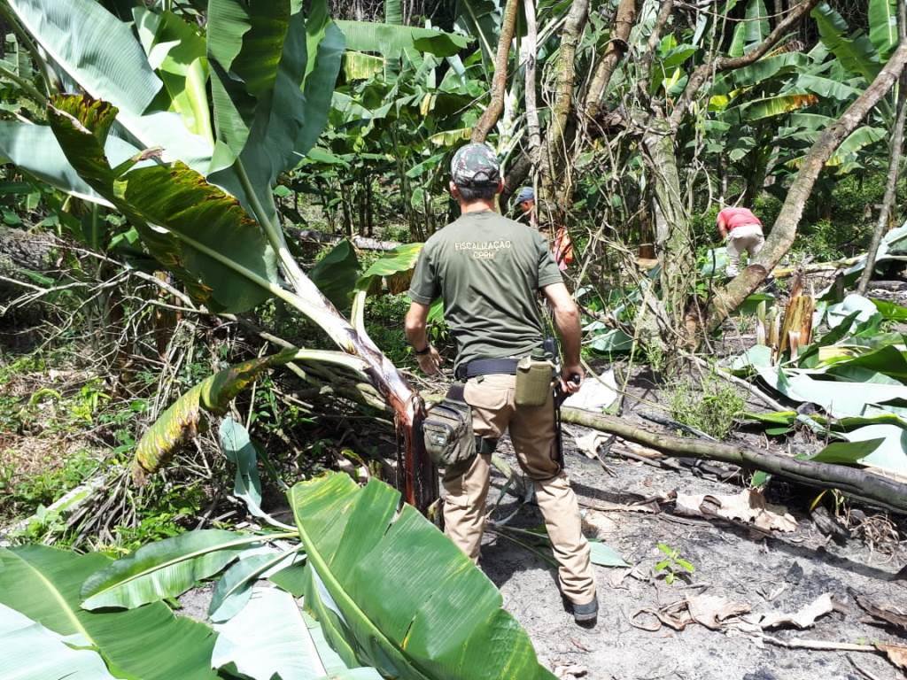 A votação pelo direito ao uso da arma chega num momento em que o atentado contra as instituições voltadas a preservar o meio ambiente nunca esteve tão em alta