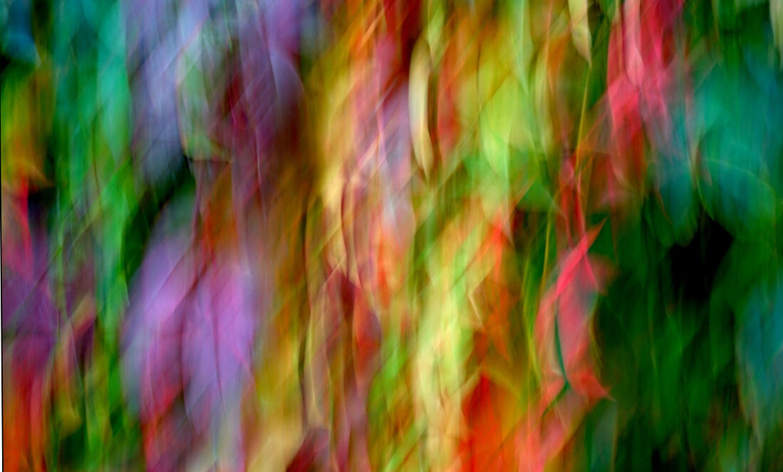 A filósofa Angela Davis se destacou nos anos 1970 como liderança do movimento dos Panteras Negras