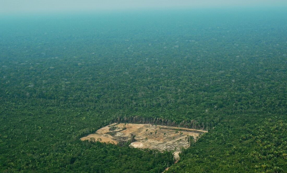 Desmatamento na Amazônia