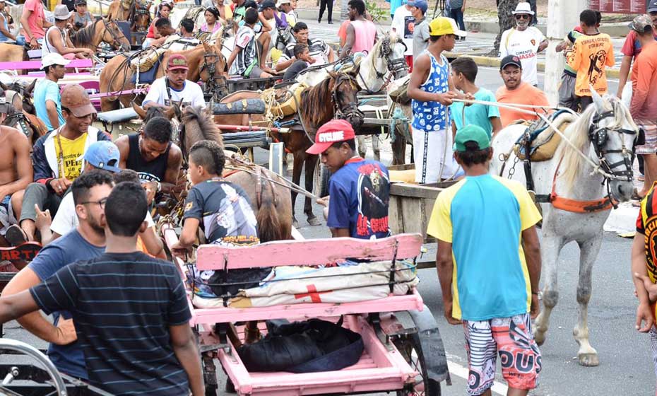 Carroceiros no Recife