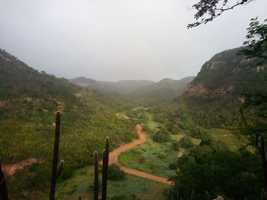 Serra do Giz, Caatinga