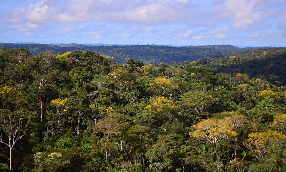 Amazônia 