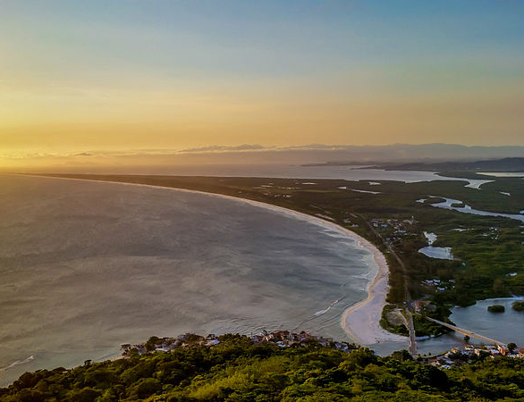 Restinga de Marambaia no Rio de Janeiro