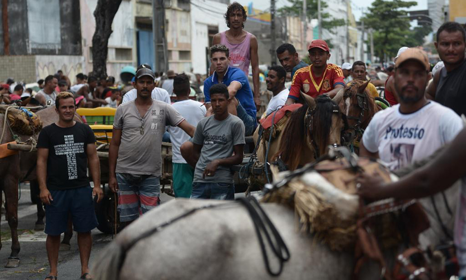 Carroceiros do Recife que atenderem os requisitos da prefeitura podem receber idenizações