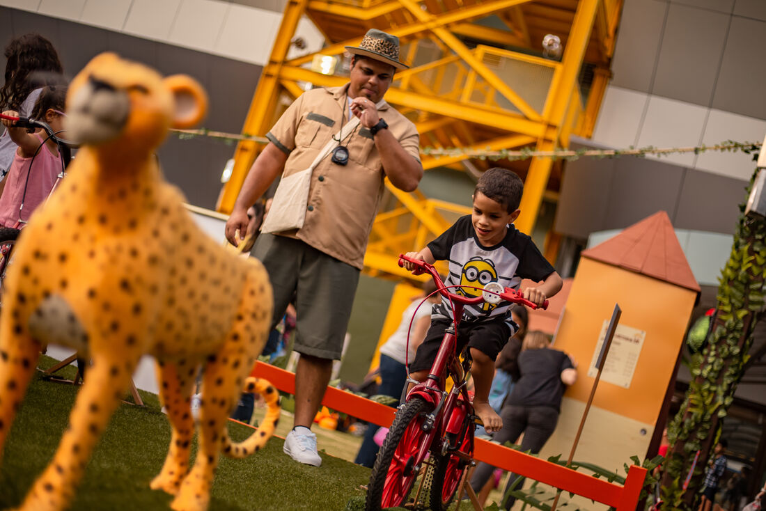 Parque Safari no Plaza 