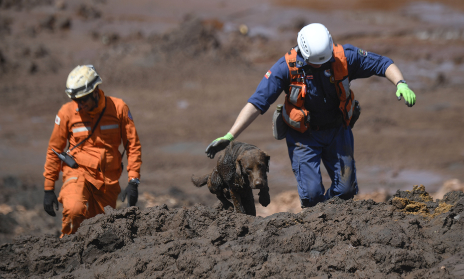 Resgate de cachorro pelo Corpo de Bombeiros em Brumadinho