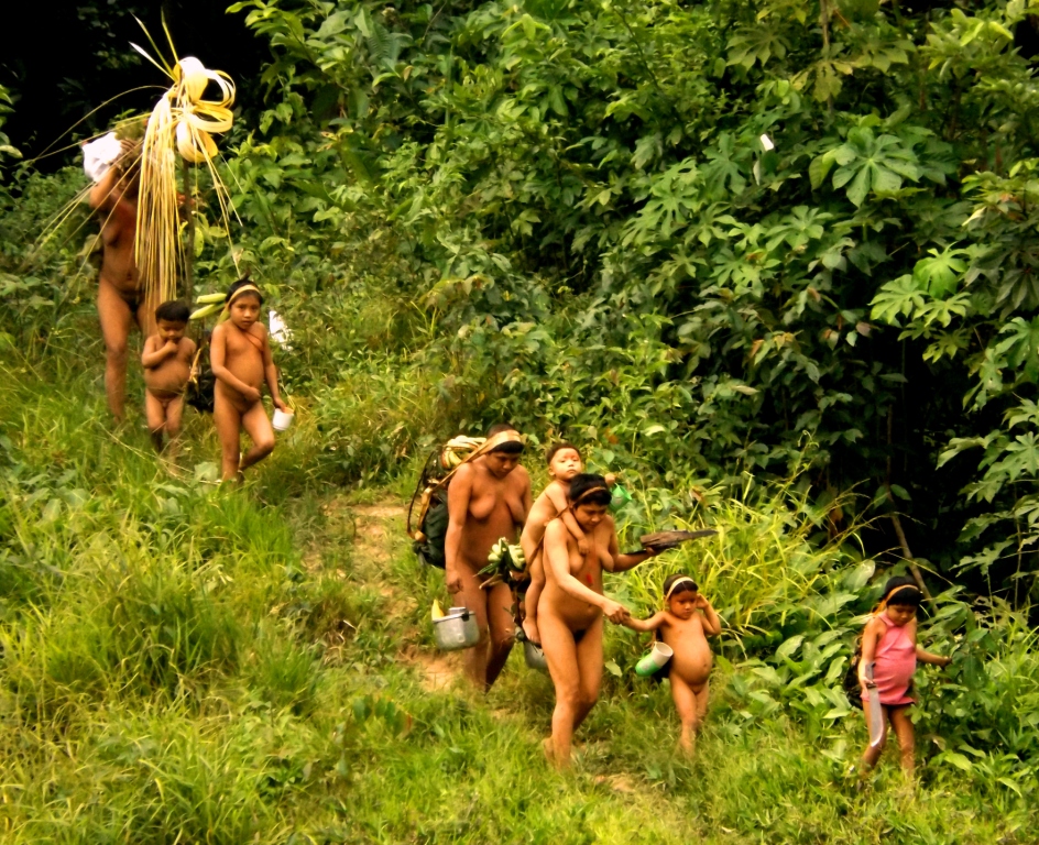 Indígenas Isolados Korubo do Rio Coari, na Terra Indígena Vale do Javari (AM)