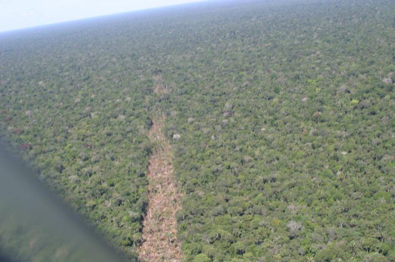 Vale do Javari, no Amazonas