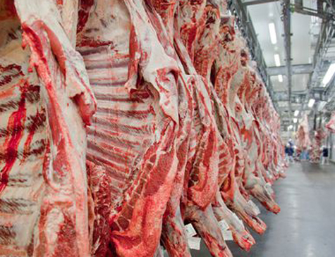 Carnes