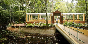 Jardim Botânico do Recife