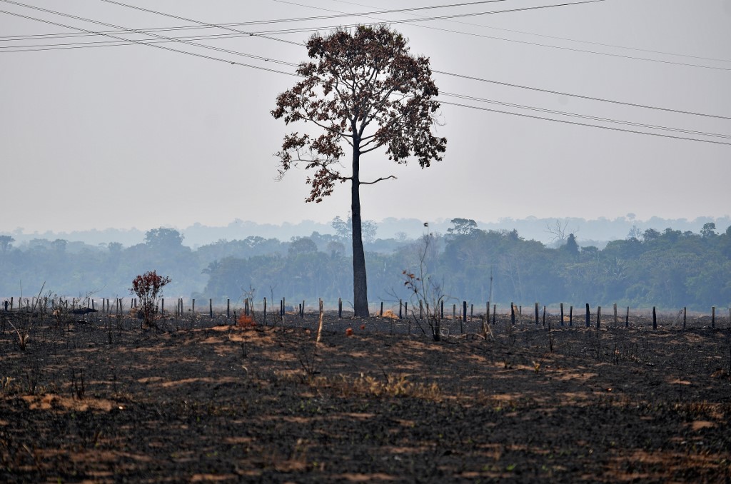 Queimadas na Amazônia