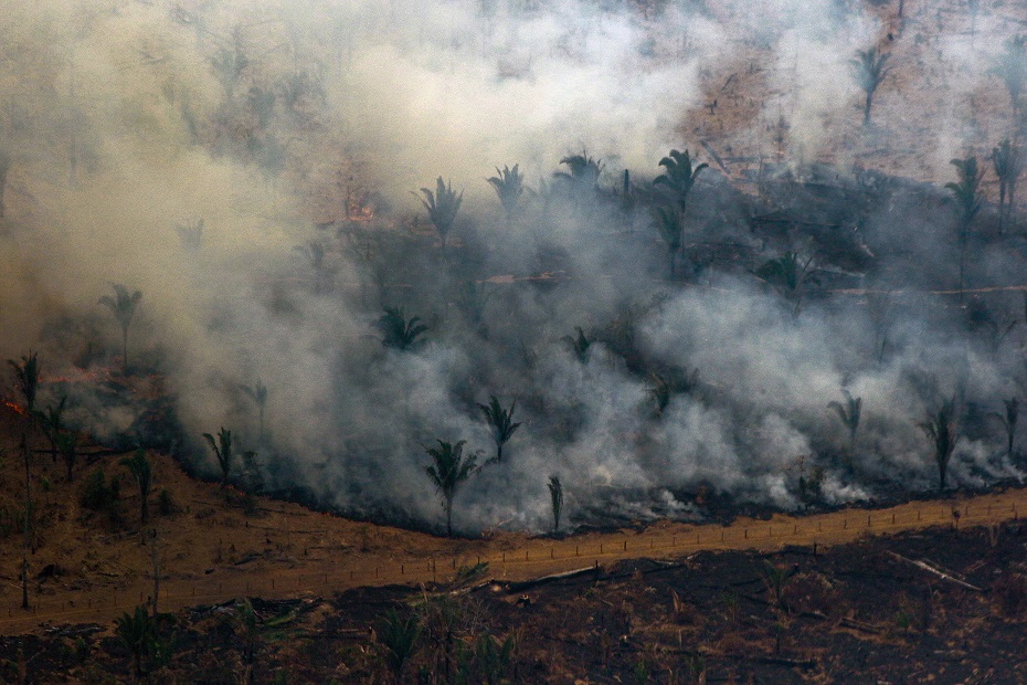 Amazônia