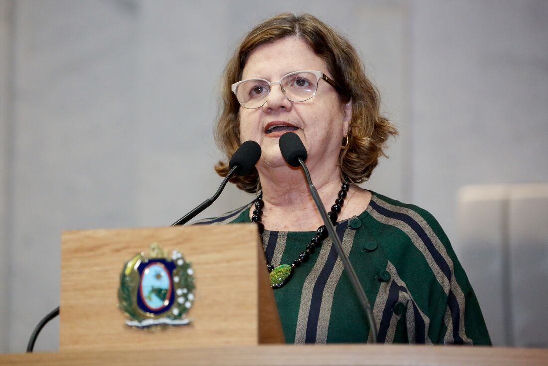 A parlamentar elencou medidas do Ministério que, em sua opinião, retiram direitos e conquistas do povo brasileiro