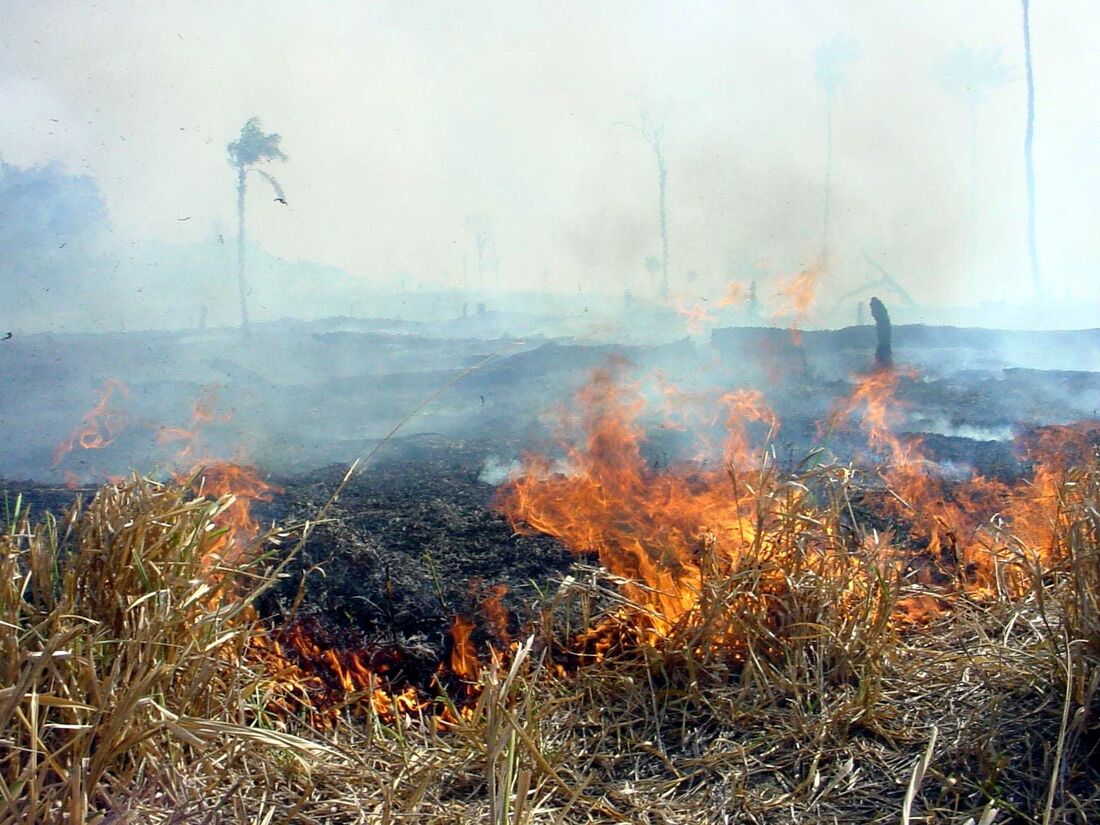 Imagens mostram queimadas em Rondônia