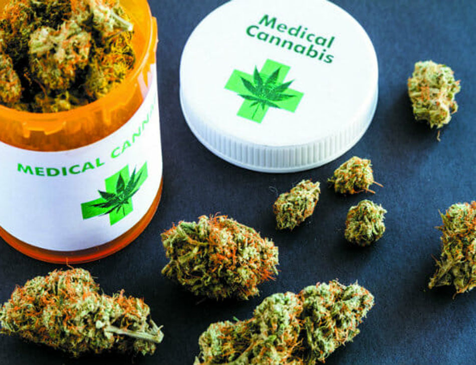 Cannabis é utilizada de forma medicinal por diversos pacientes