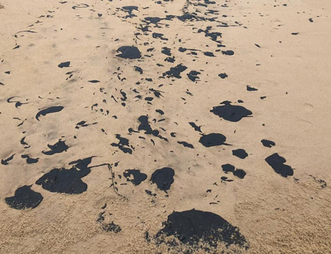 A substância foi encontrada em praias de Olinda, Recife e Ipojuca 