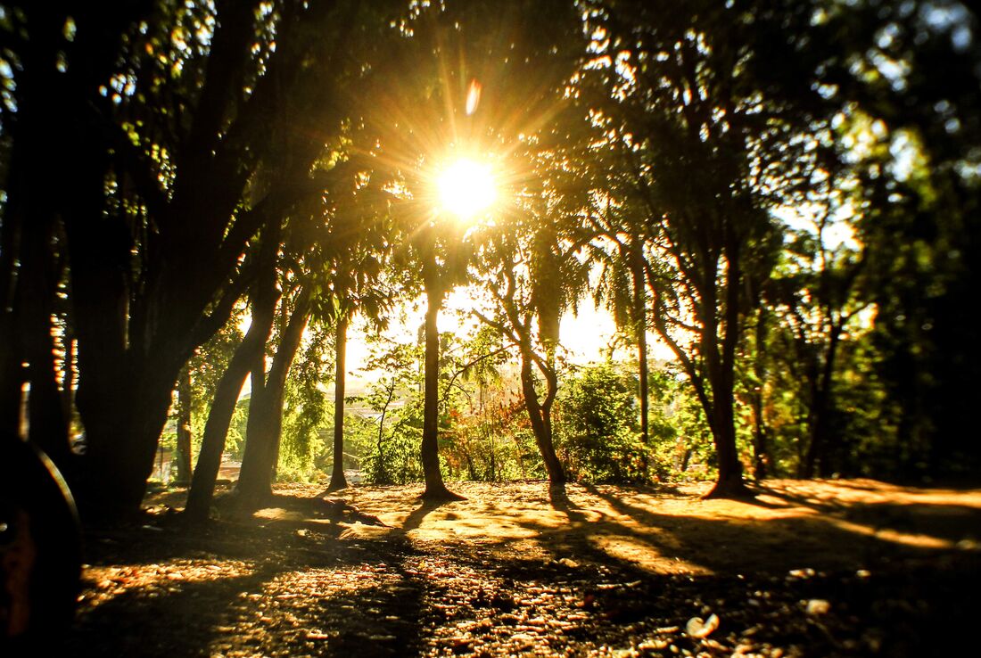 Luz solar estimula a serotonina