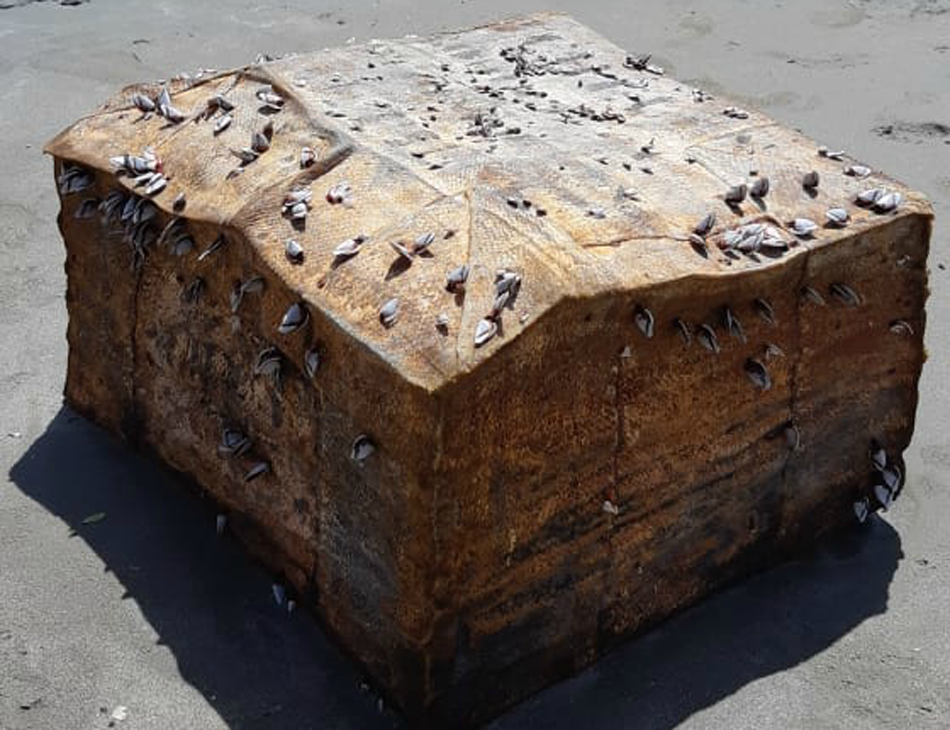 Pesquisadores consideram que material é oriundo de um navio alemão torpedeado por tropas americanas próximo a Recife durante a Segunda Guerra