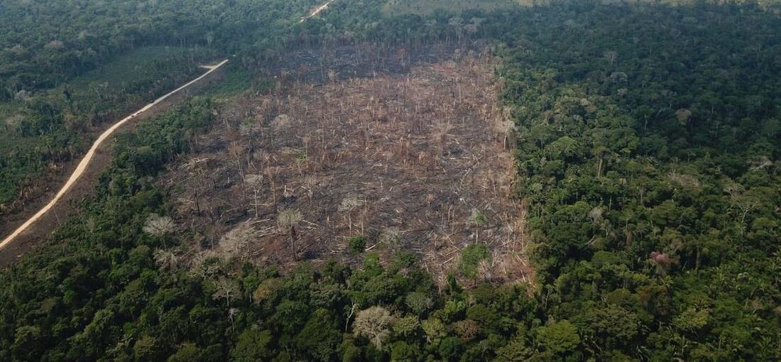 Amazônia