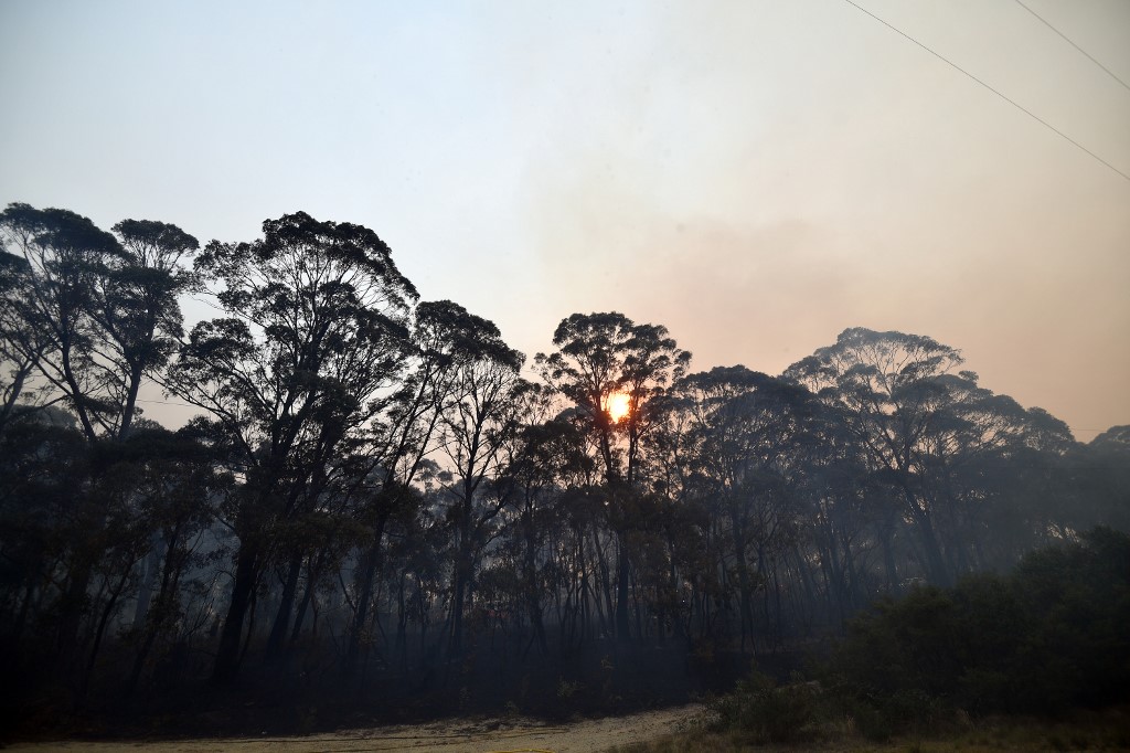 Onda de calor na Austrália