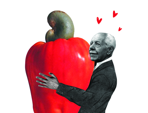 Silvio Caldas era um apaixonado por cajus