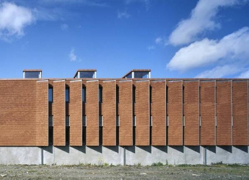 Instituto Urbano da Irlanda