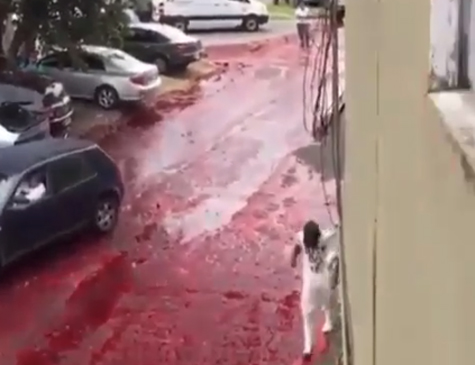 Explosão de tanque de sangue na Argentina