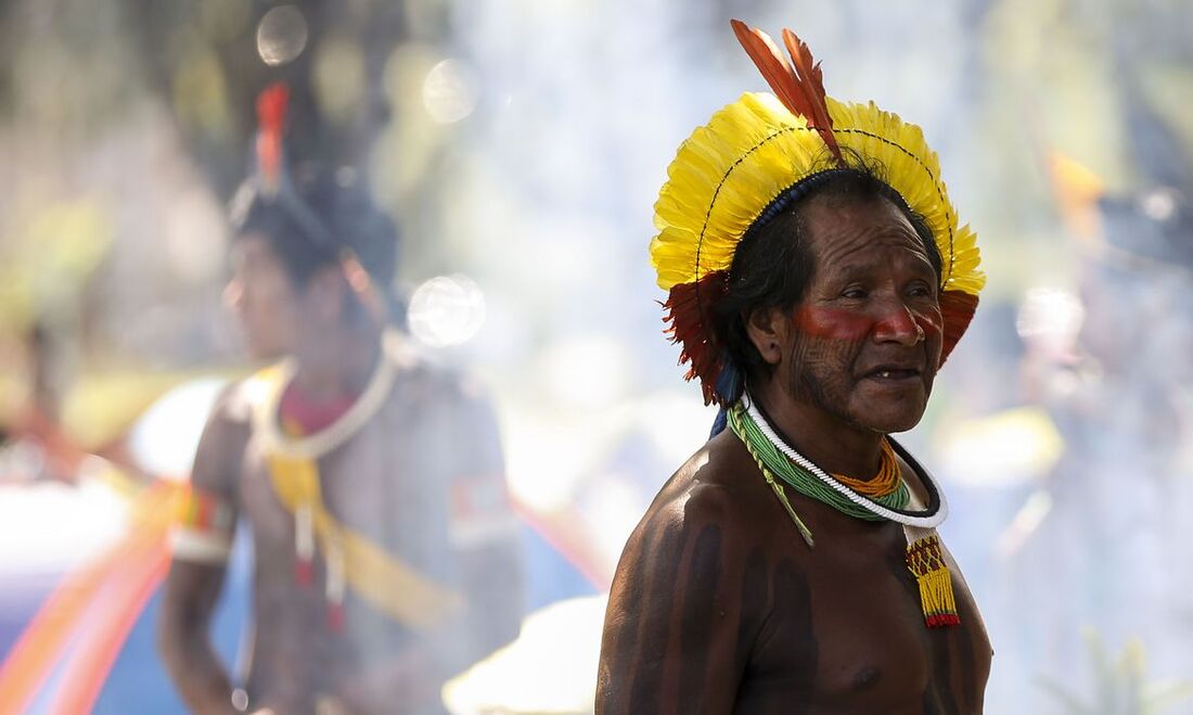 Índios comercializam chocolate feito com cacau e transformado em barra