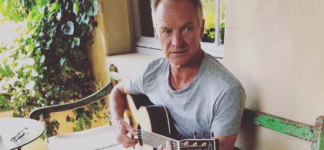 Sting é um dos nomes confirmados para a live em prol da causa indígena