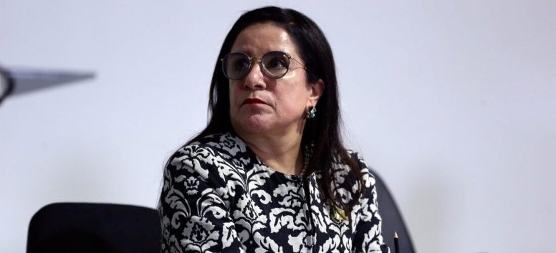 Elizabeth Guedes, presidente da Associação Nacional das Universidades Particulares (Anup)