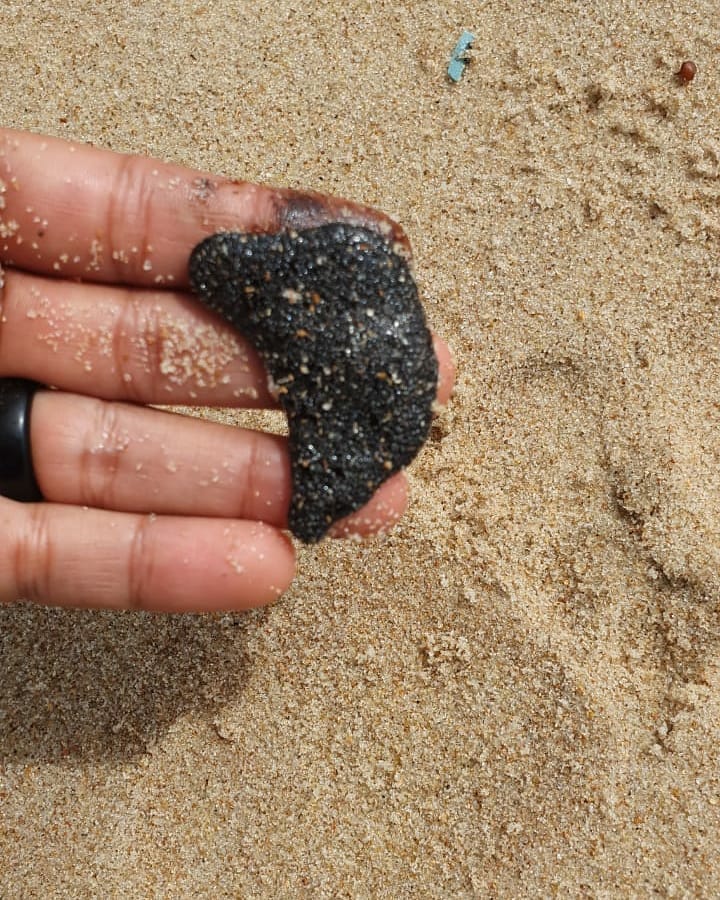 Óleo ainda é encontrado em praias pernambucanas