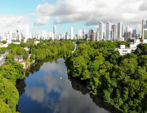 Cidades como Recife precisam estabelecer convivência mais harmônica com a natureza