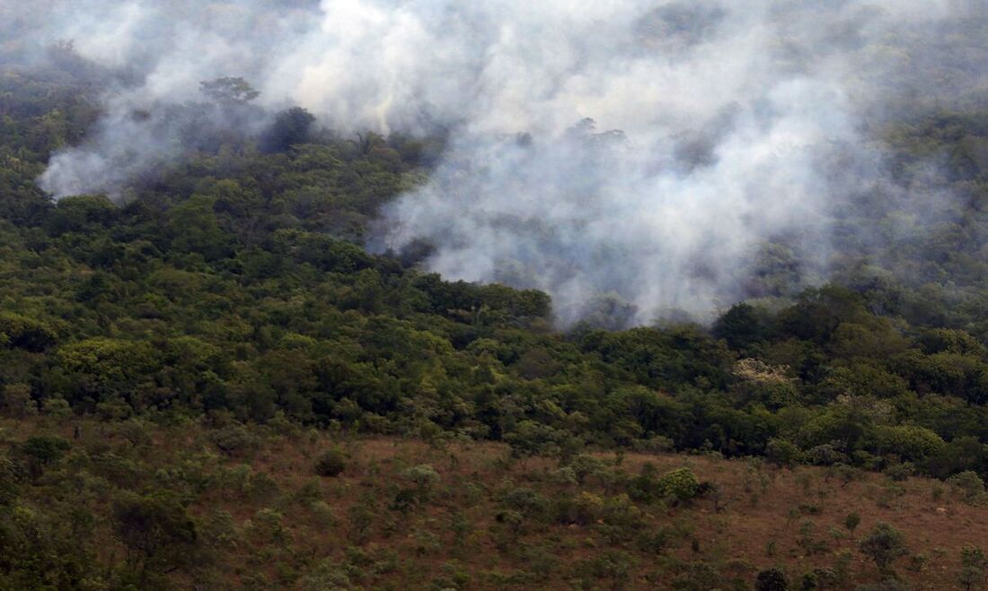 Incêndio em floresta brasileira